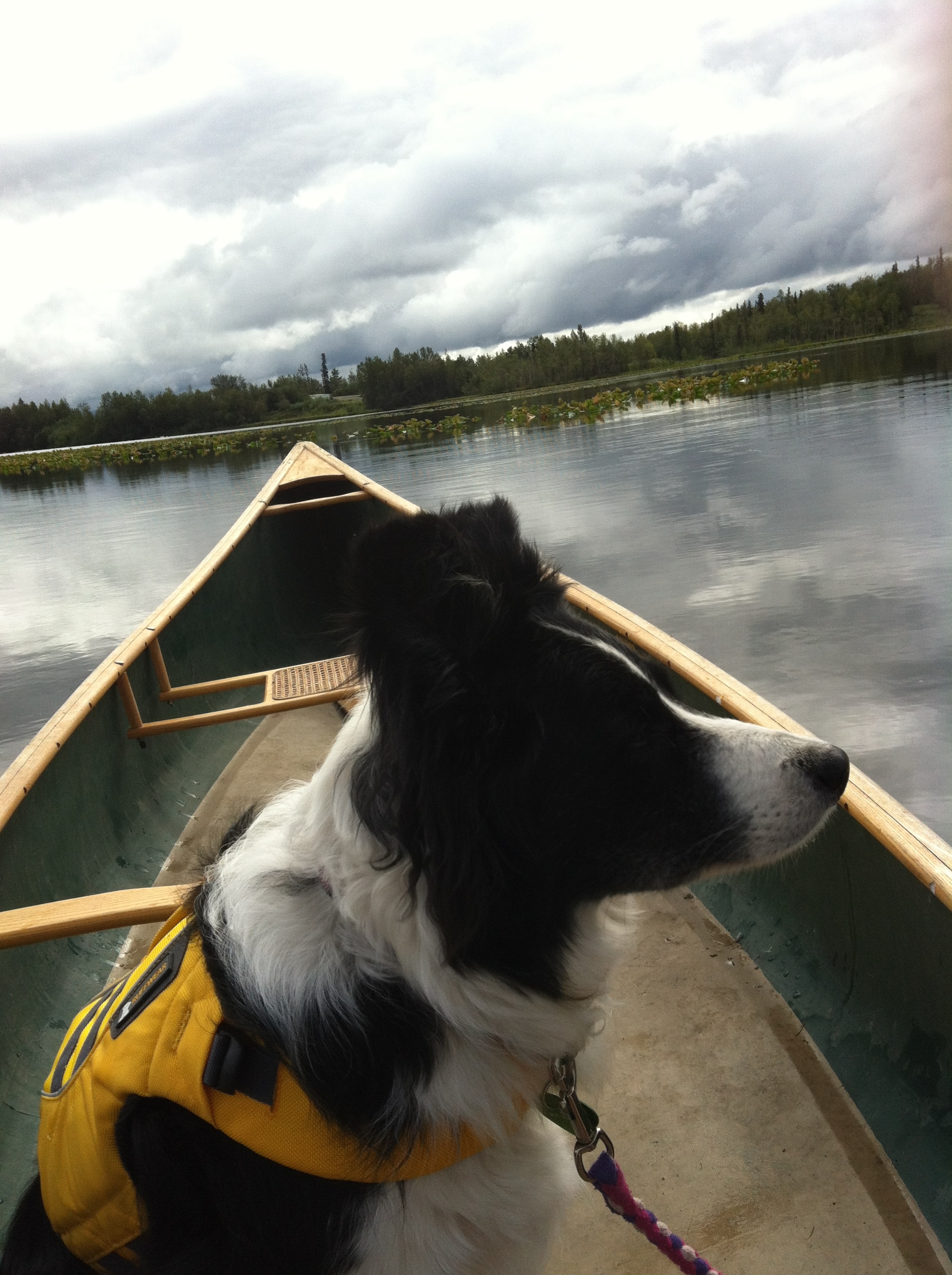 Jill in Canoe.jpg