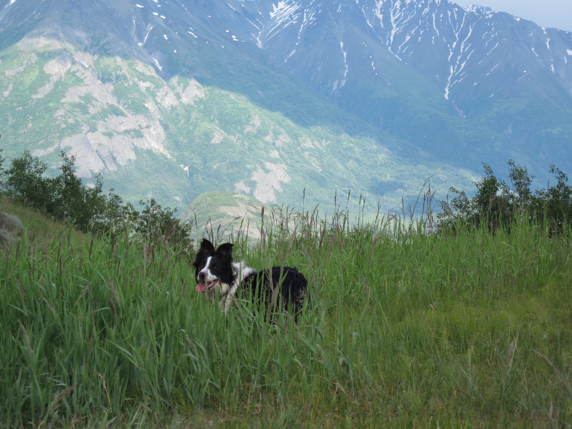 Jill on the Butte.jpg