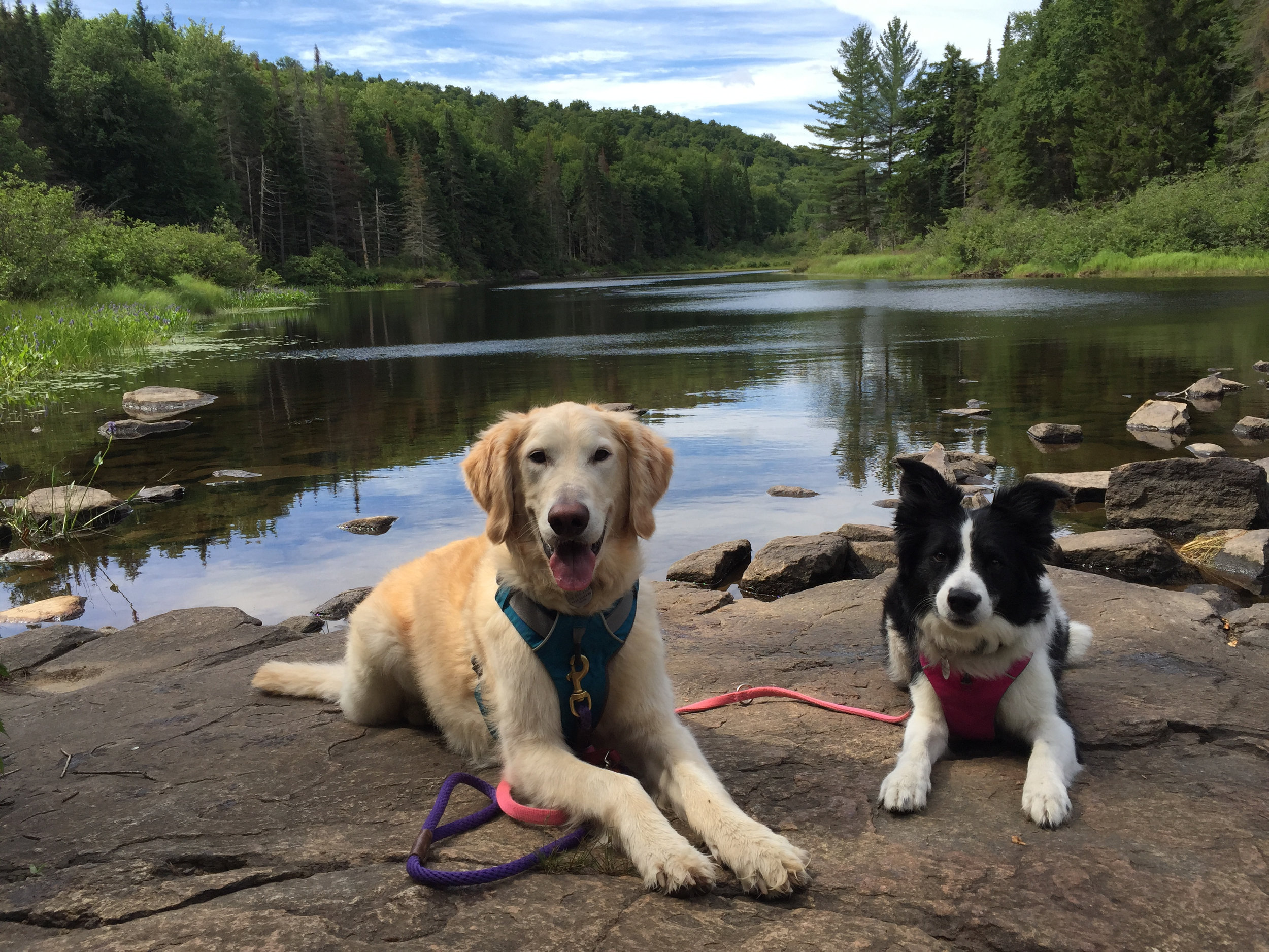 L and J at Buttermilk Falls, Long Lake.jpg