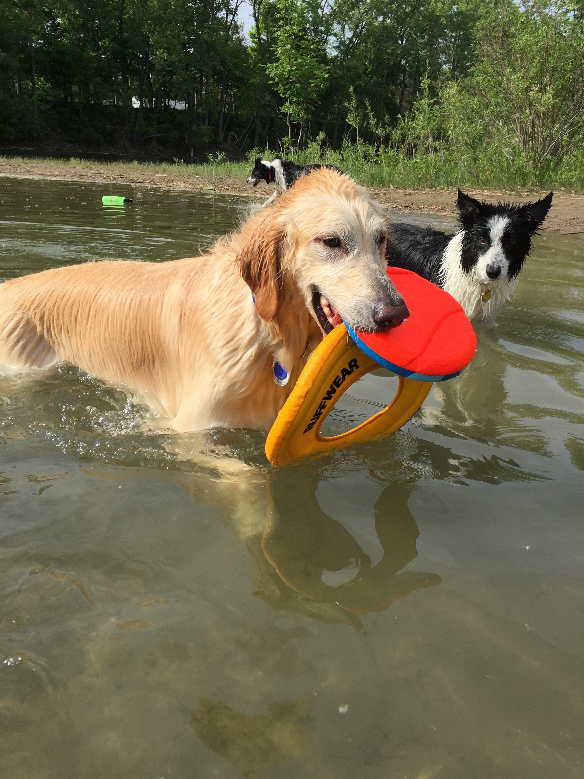 Leo with water toys.jpg