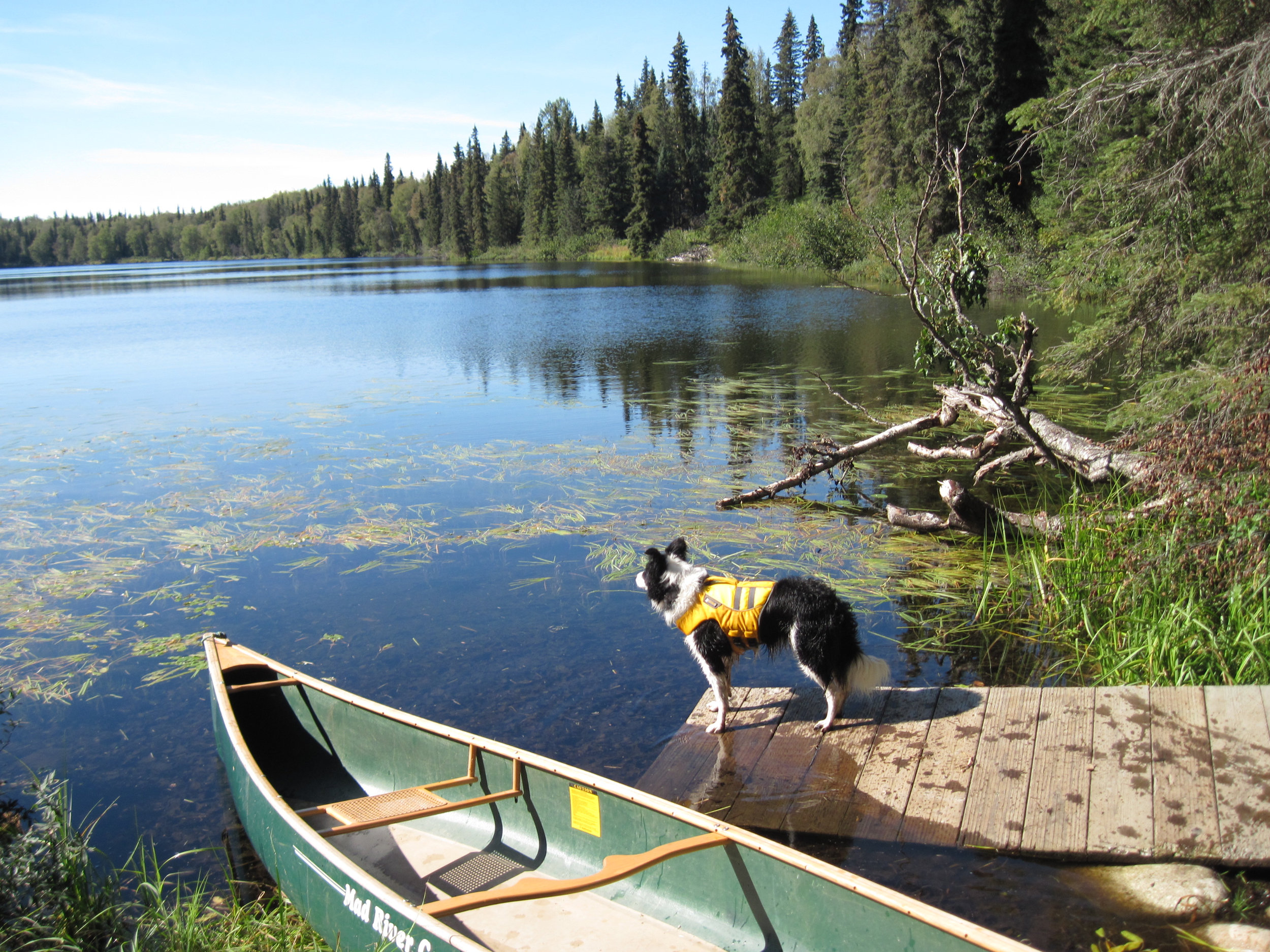 Nancy Lake.jpg