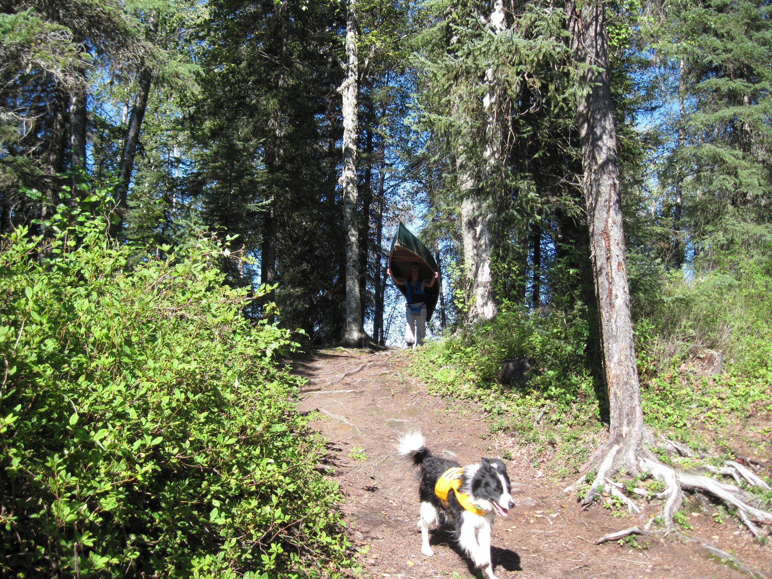 Portage at Nancy Lake Alaska.jpg