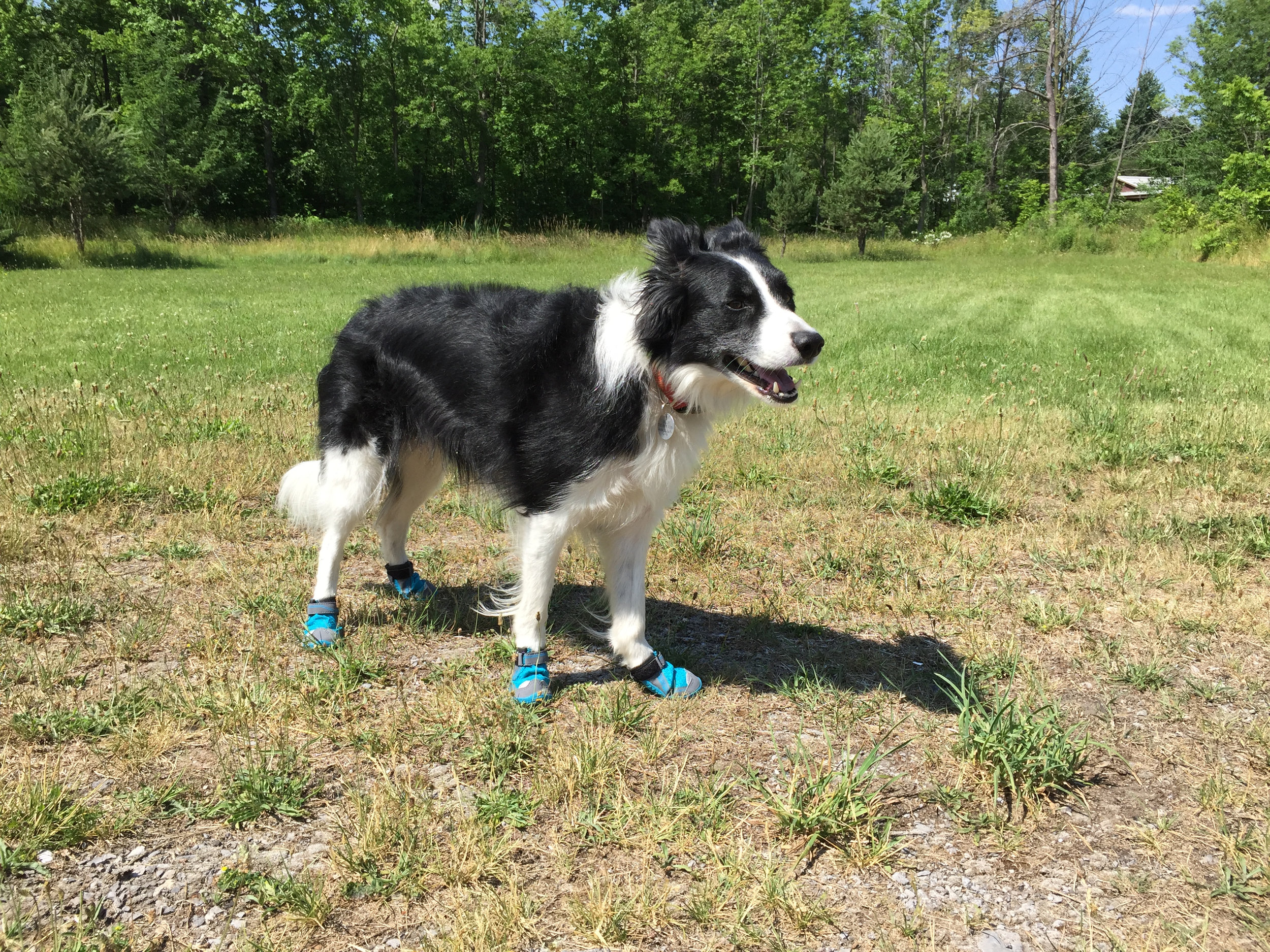 Jill in her boots.jpg