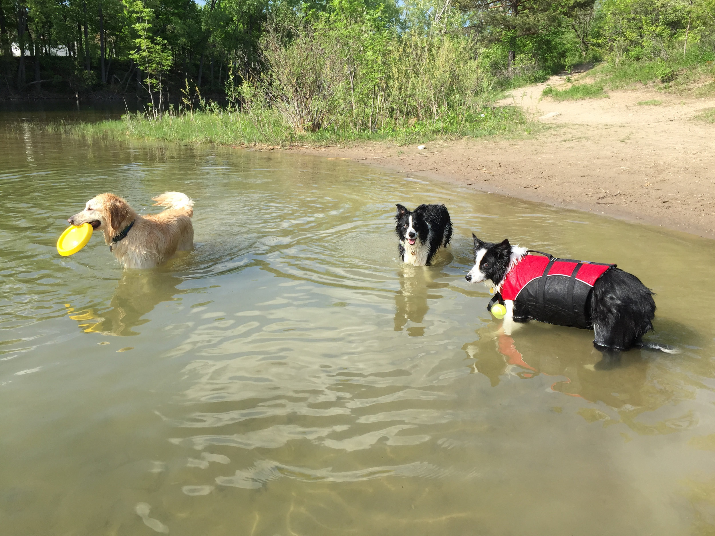 Swimming at Tilman.jpg