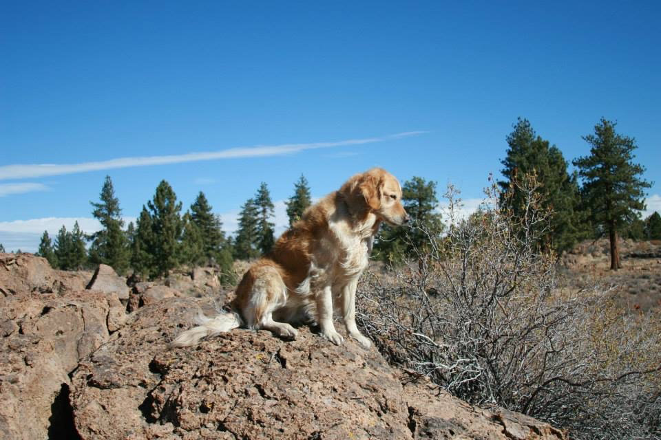 Tucker in CA desert.jpg