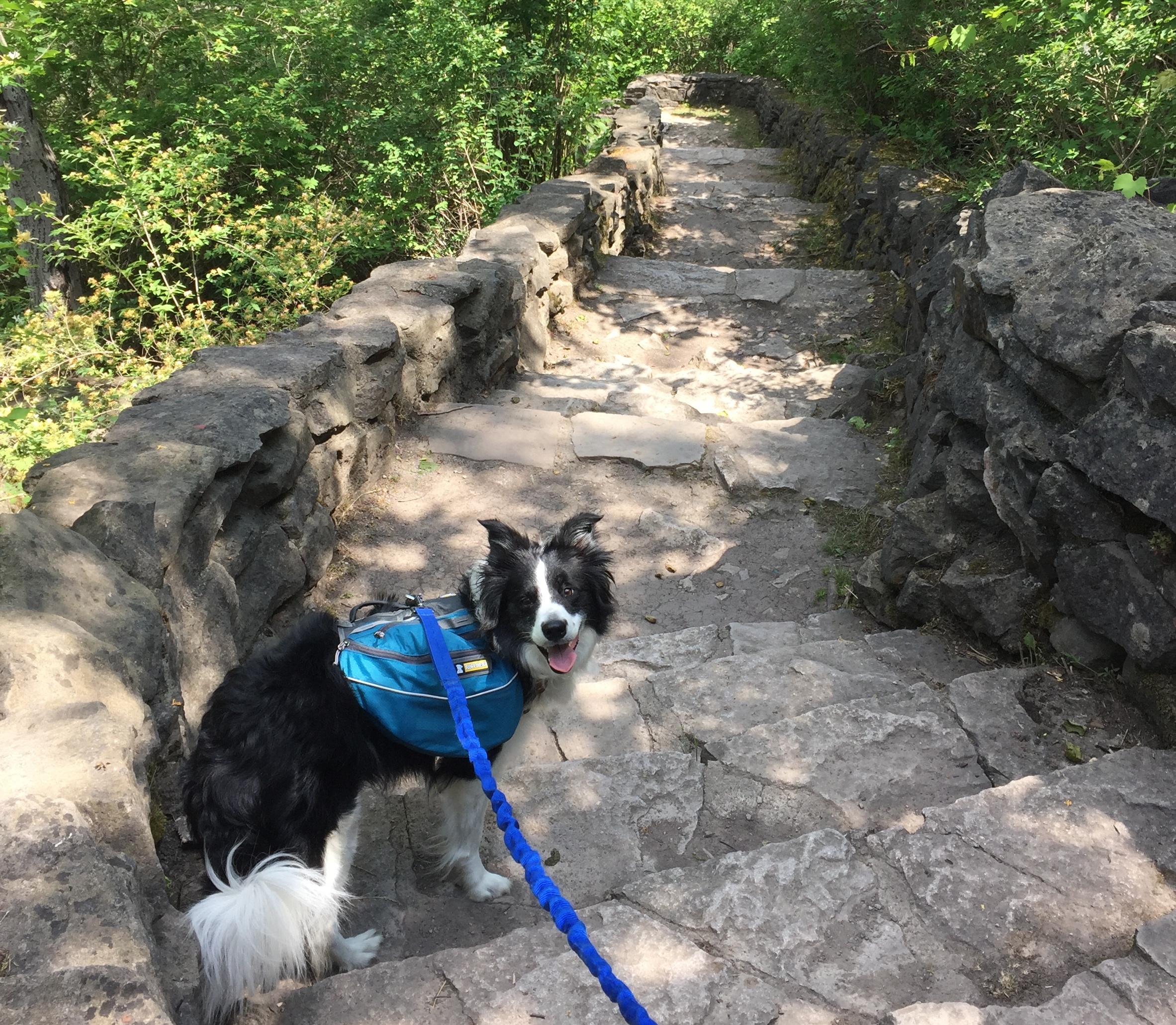 Jill+at+Niagara+Gorge.jpg