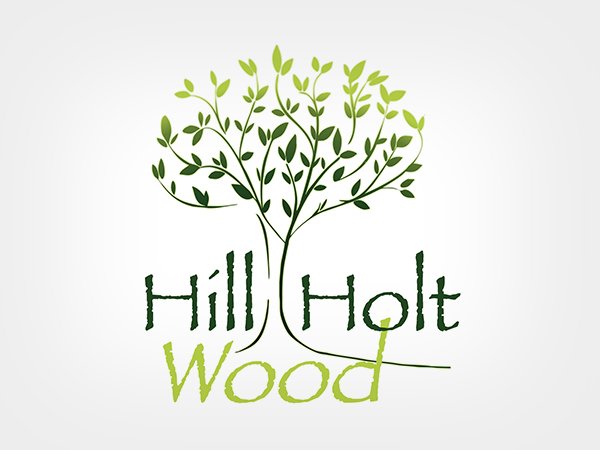 220629-JA1-Community-Champions-Sponsor-Logo(Hill-Holt-Wood).jpg