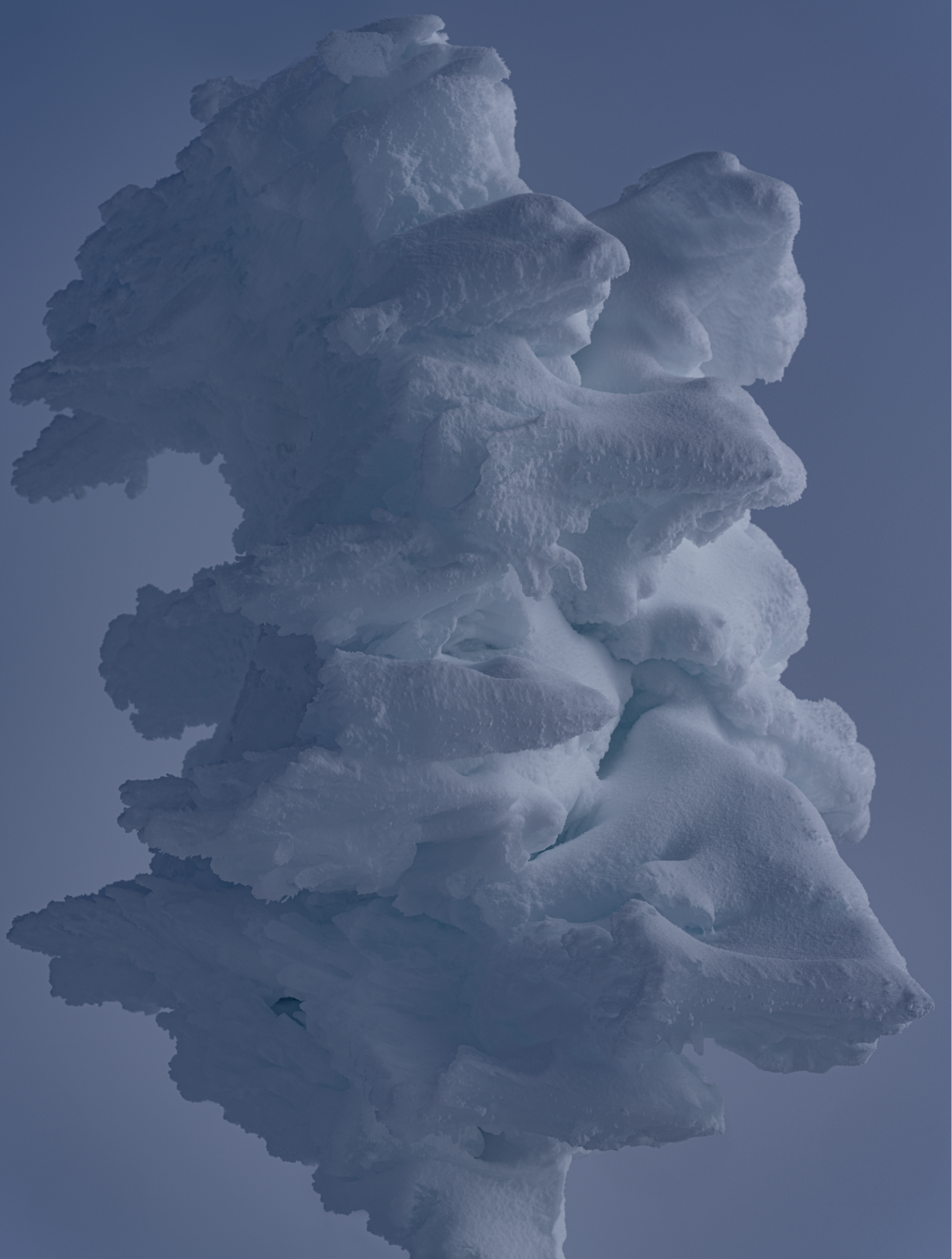 FREEZE FREAME 2 .png