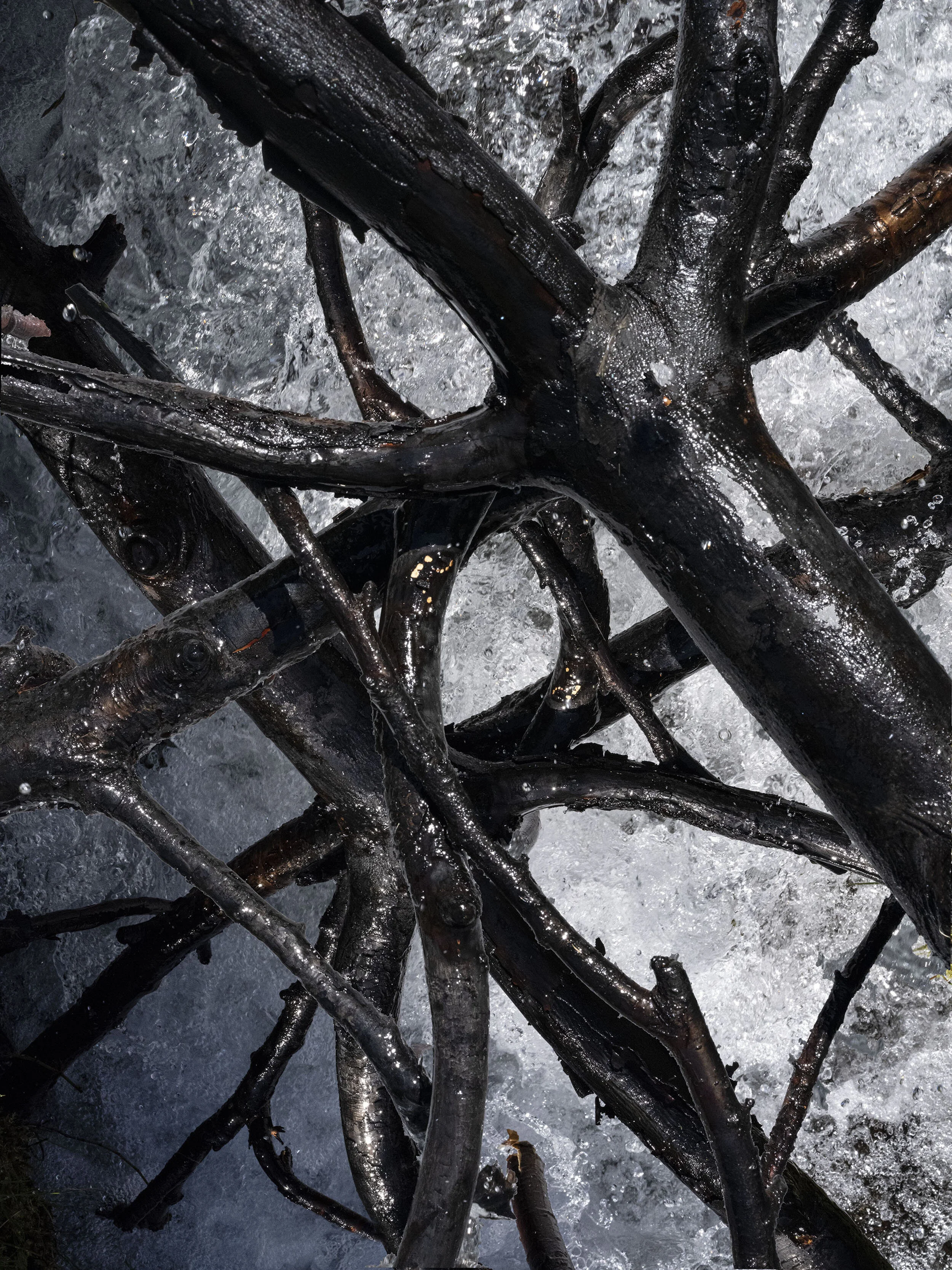 ST6_web-DSF1078 .jpg