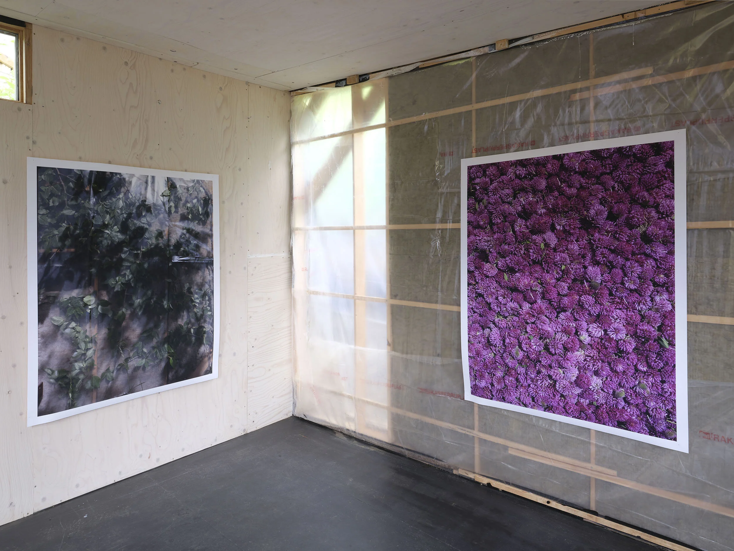 STILLING1_web-DSF1168 .jpg