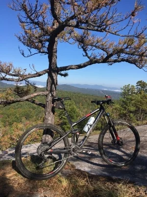 Big Rock in Dupont Forrest.