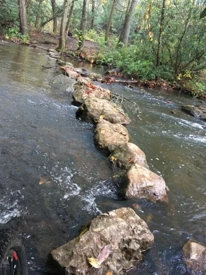 An actual bike trail in Dupont Forrest.