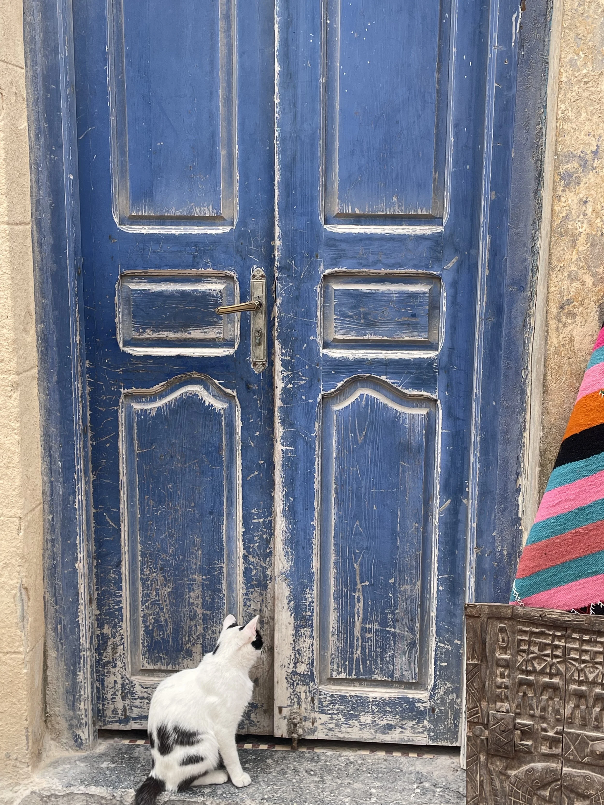 A tear for what might have been and what is