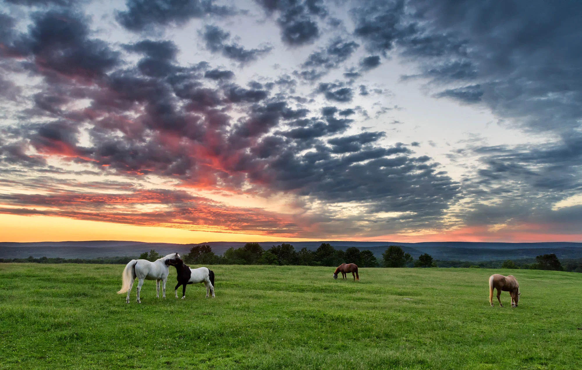 Sunset in Horse Valley