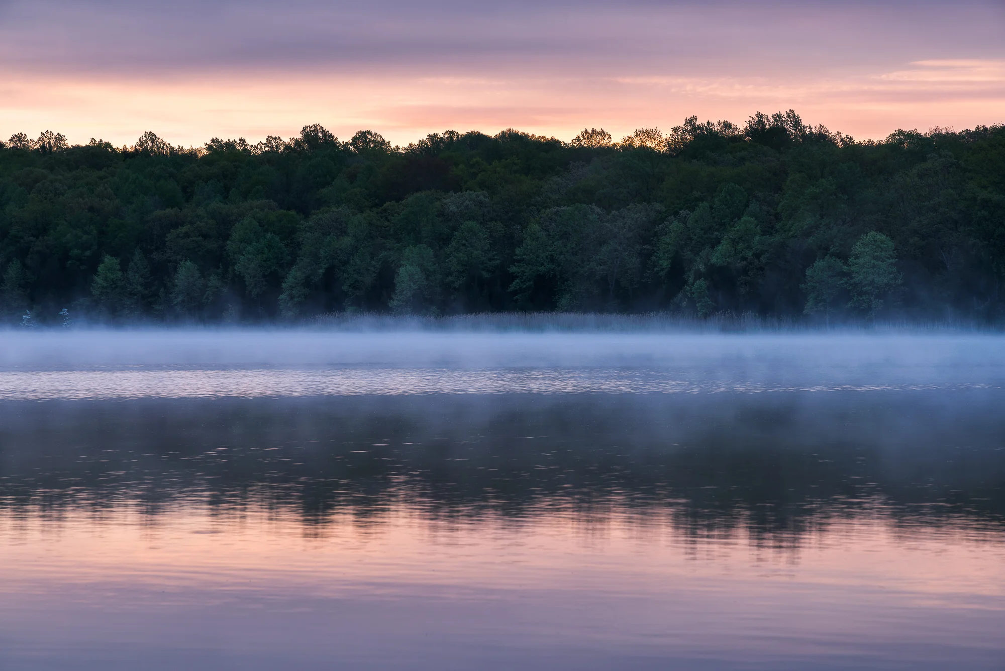 Mist