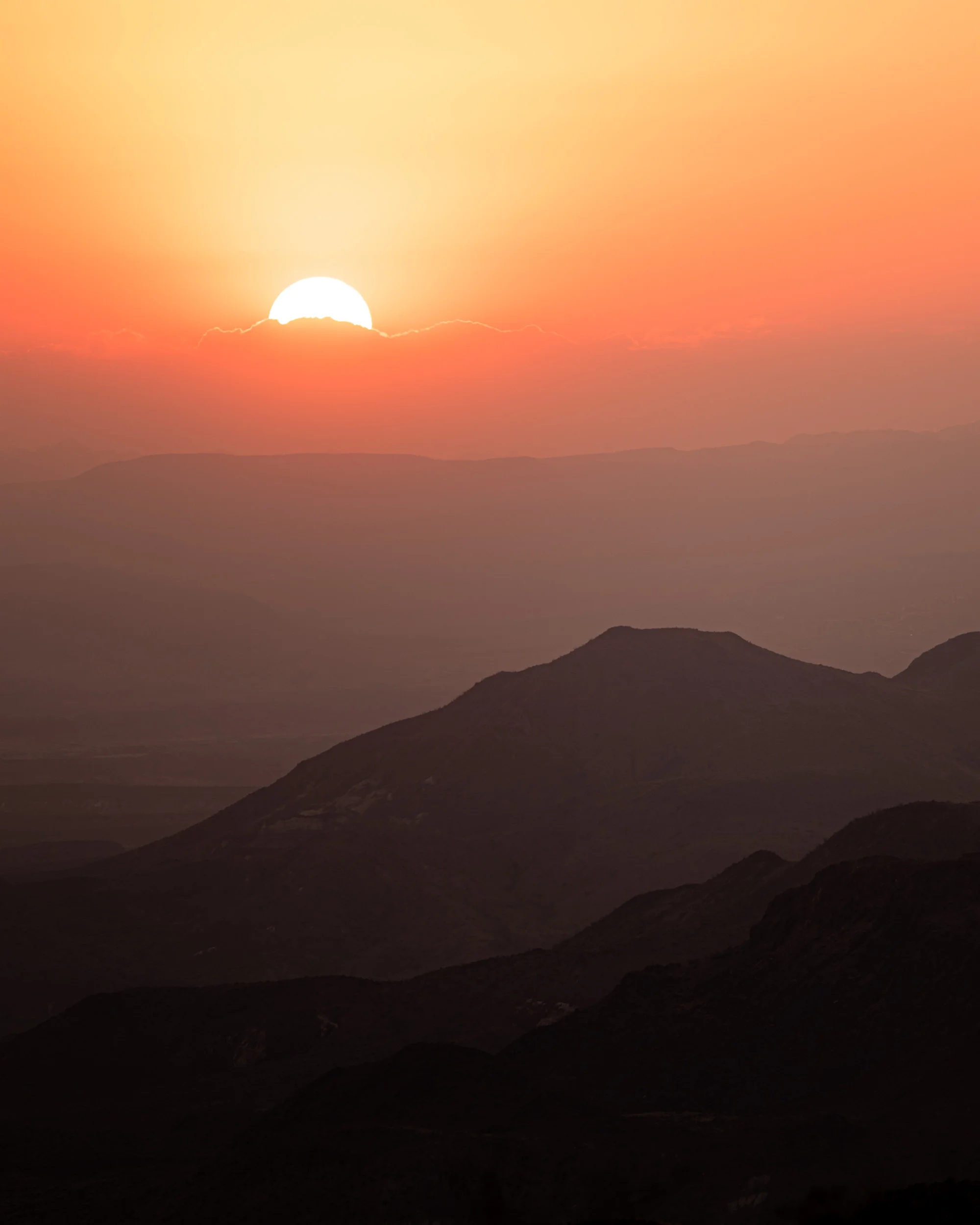 Sotol Vista