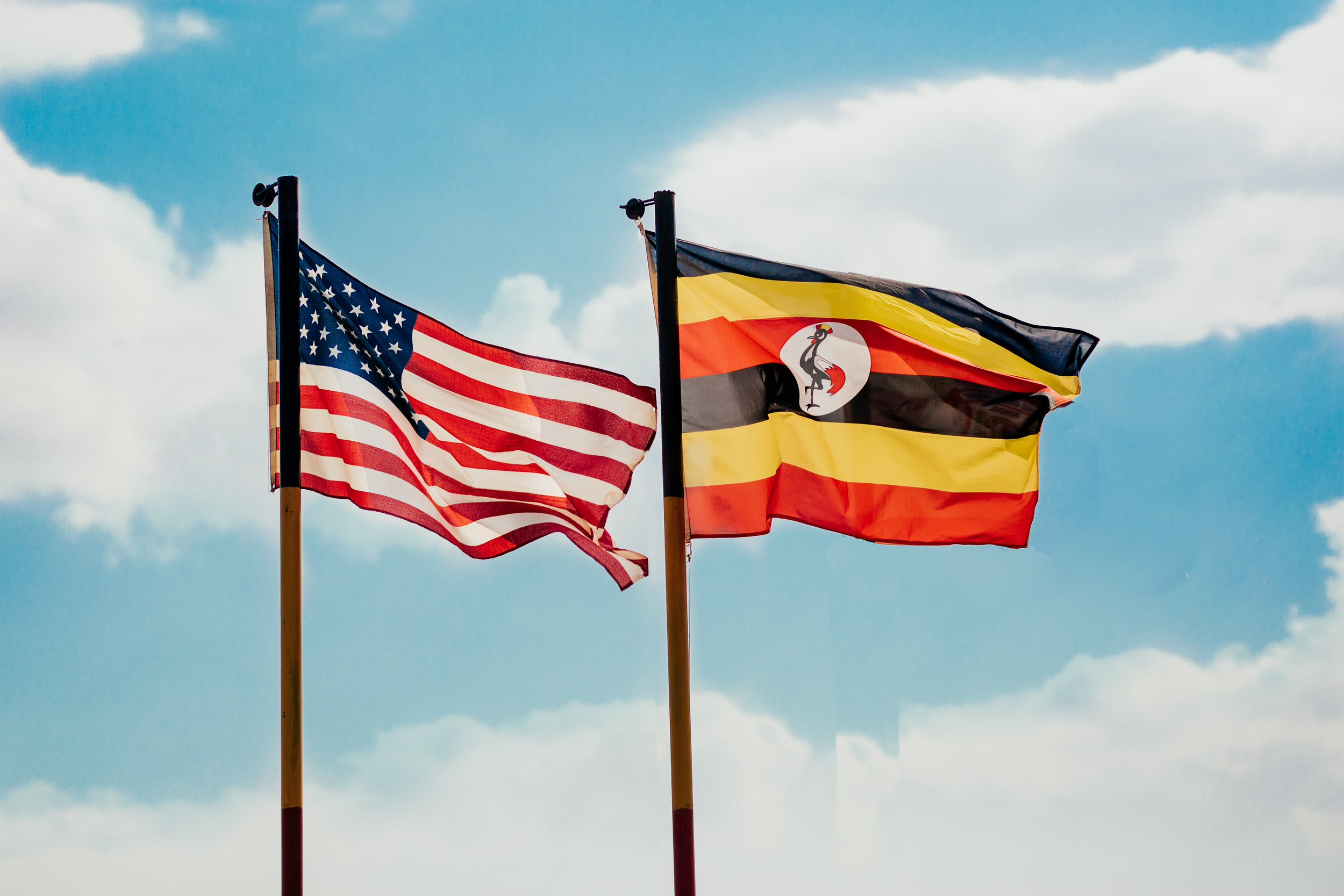 Flags-1.jpg