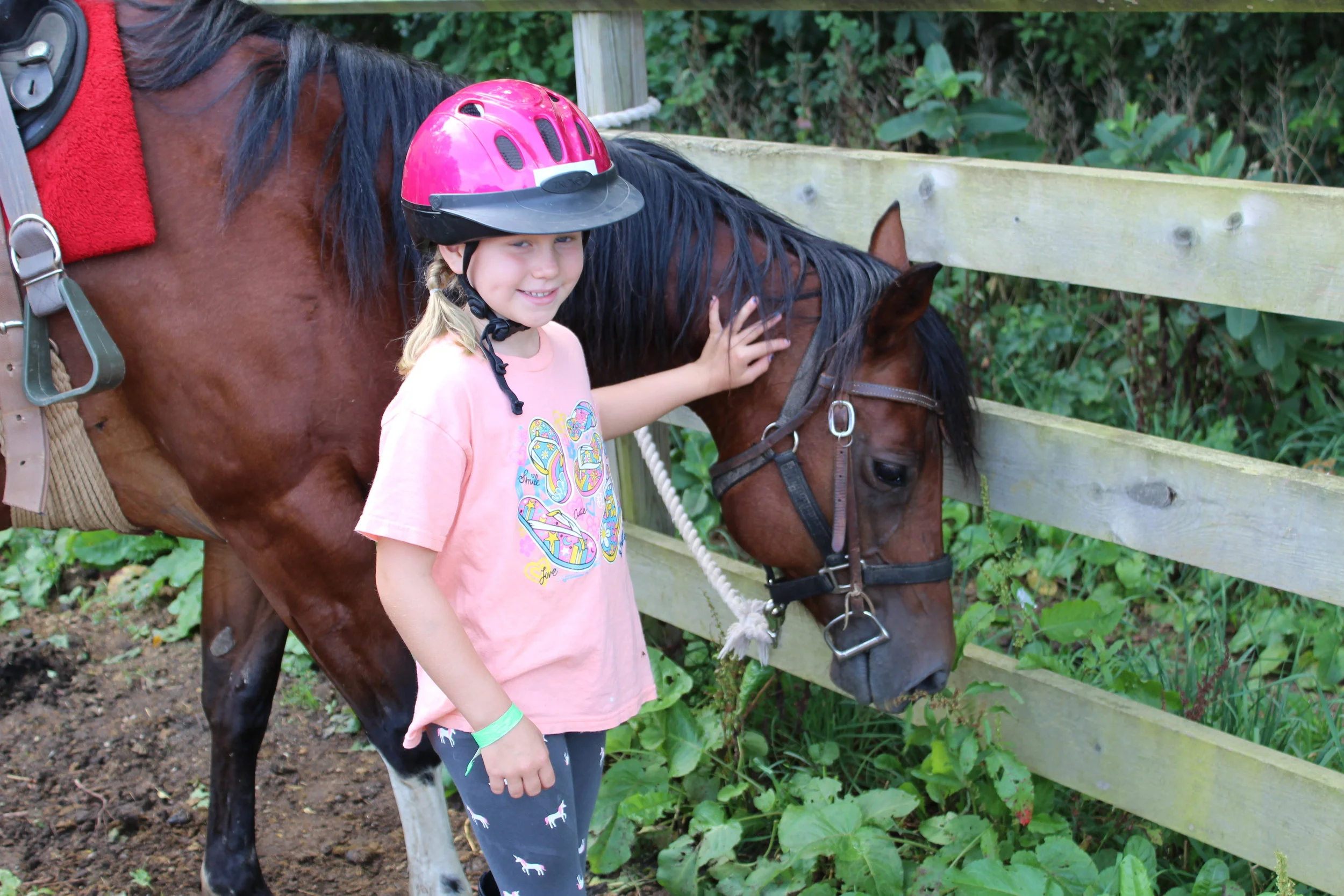 Day Horse 3.jpg
