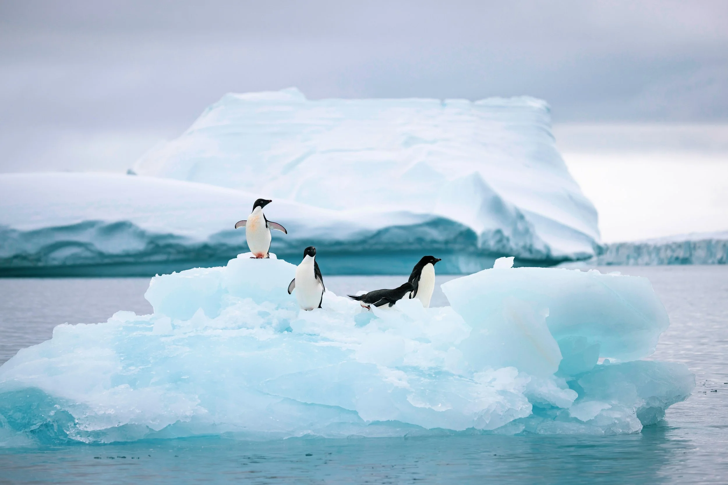 Brooke Juhala_Brown Bluff-5.JPG