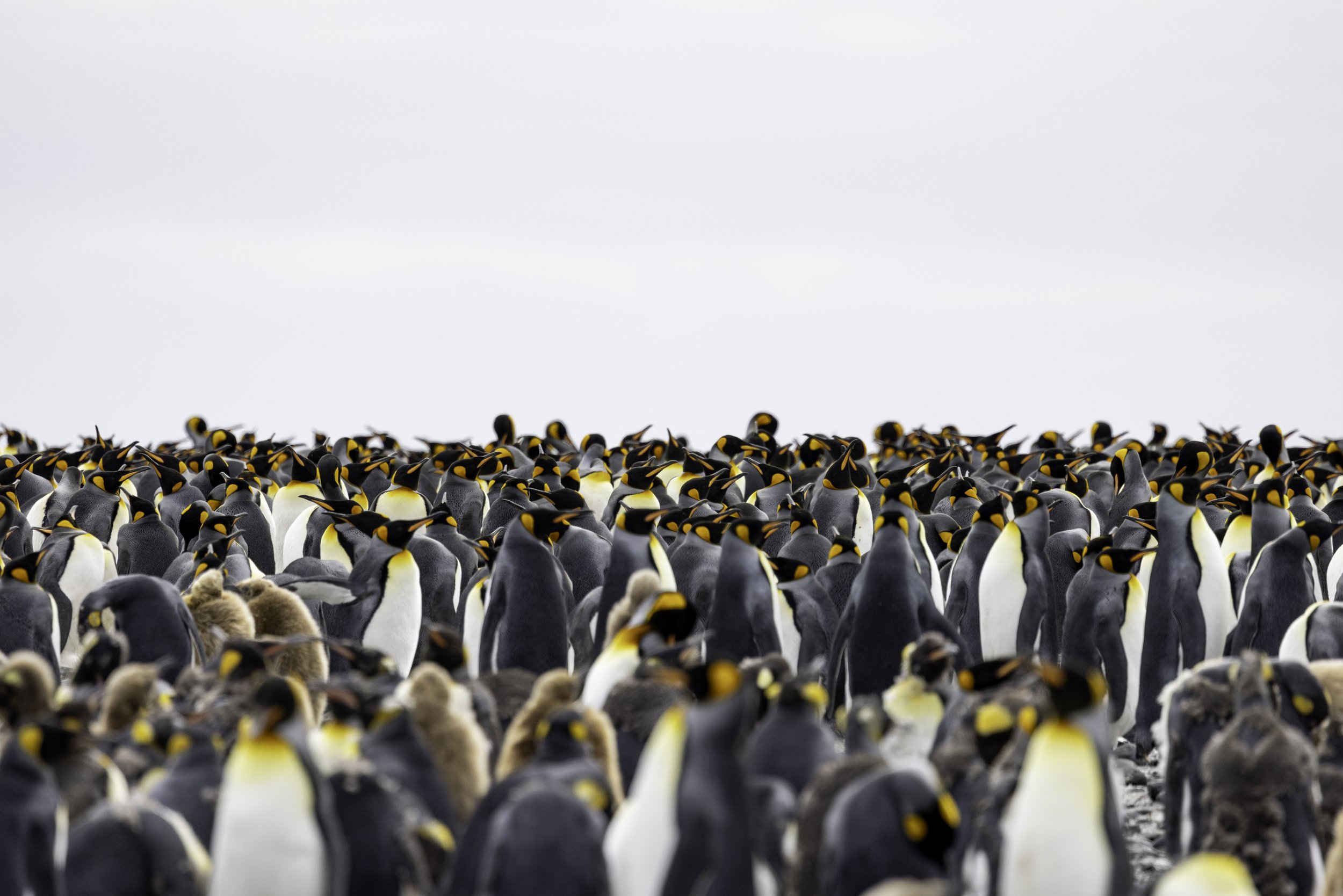 BJuhala_Salisbury Plain-4.JPG