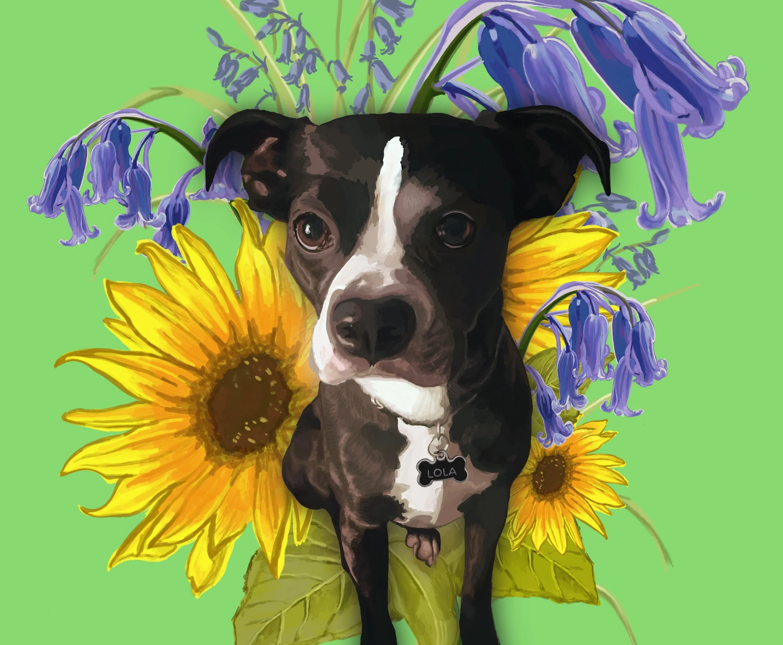 Sunflowers and Bluebells