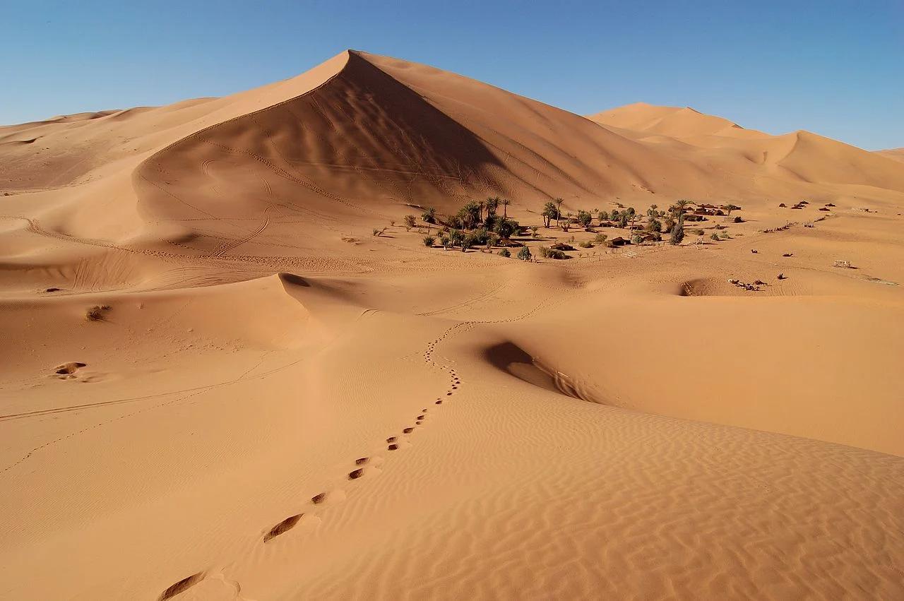 Erg_Chebbi_dunes.jpg