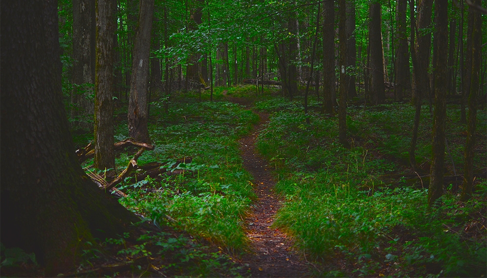 New blog front 1000.jpg