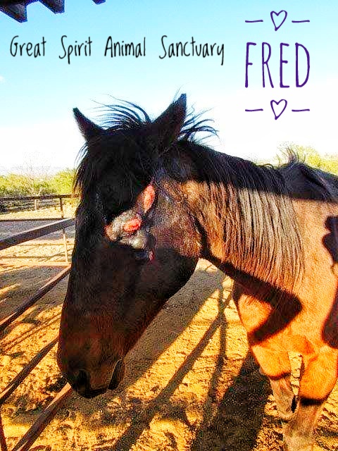 Fred GSAS.jpeg