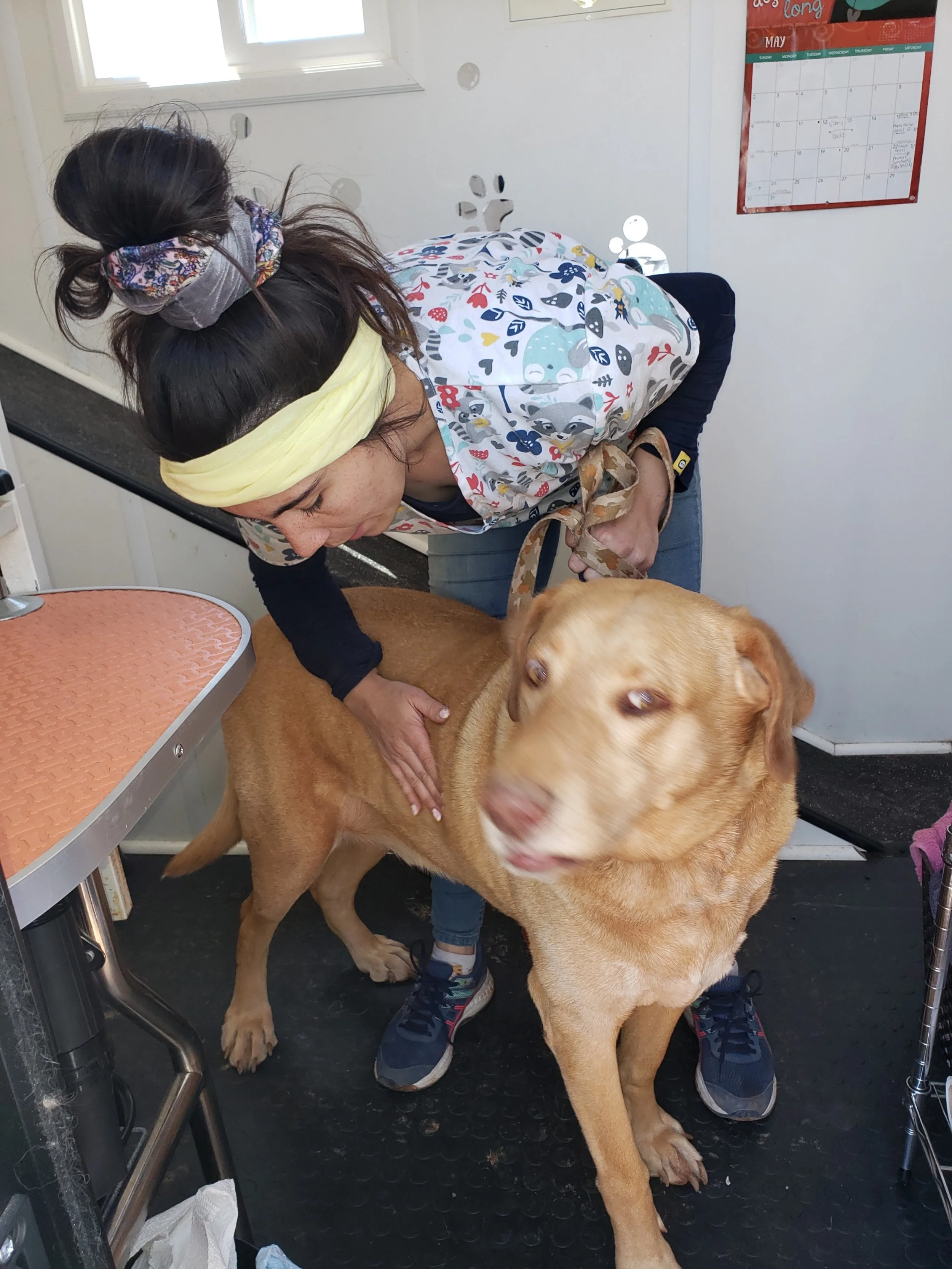 Shadow getting his bath.