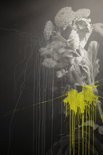 Paintbombs, 2016