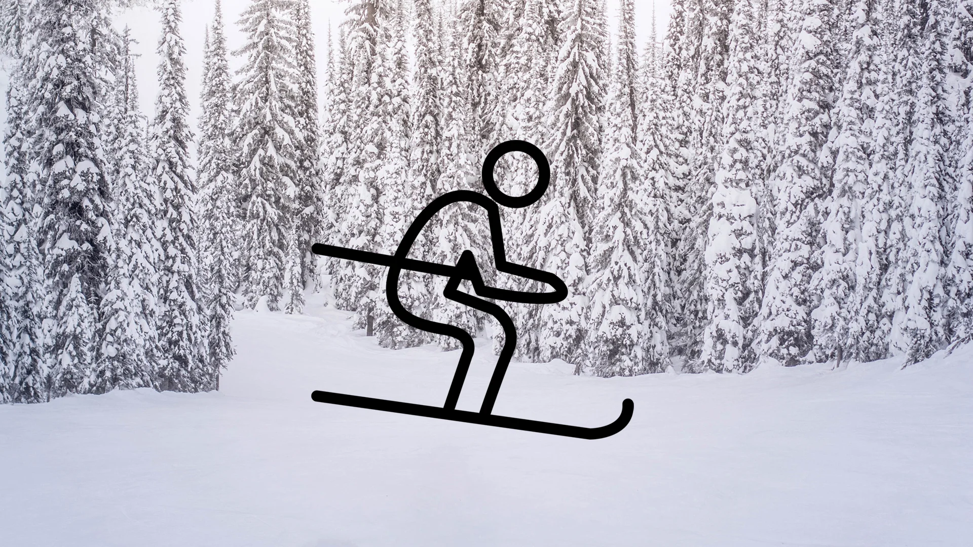 EdgeandSpoke_Ski.jpg