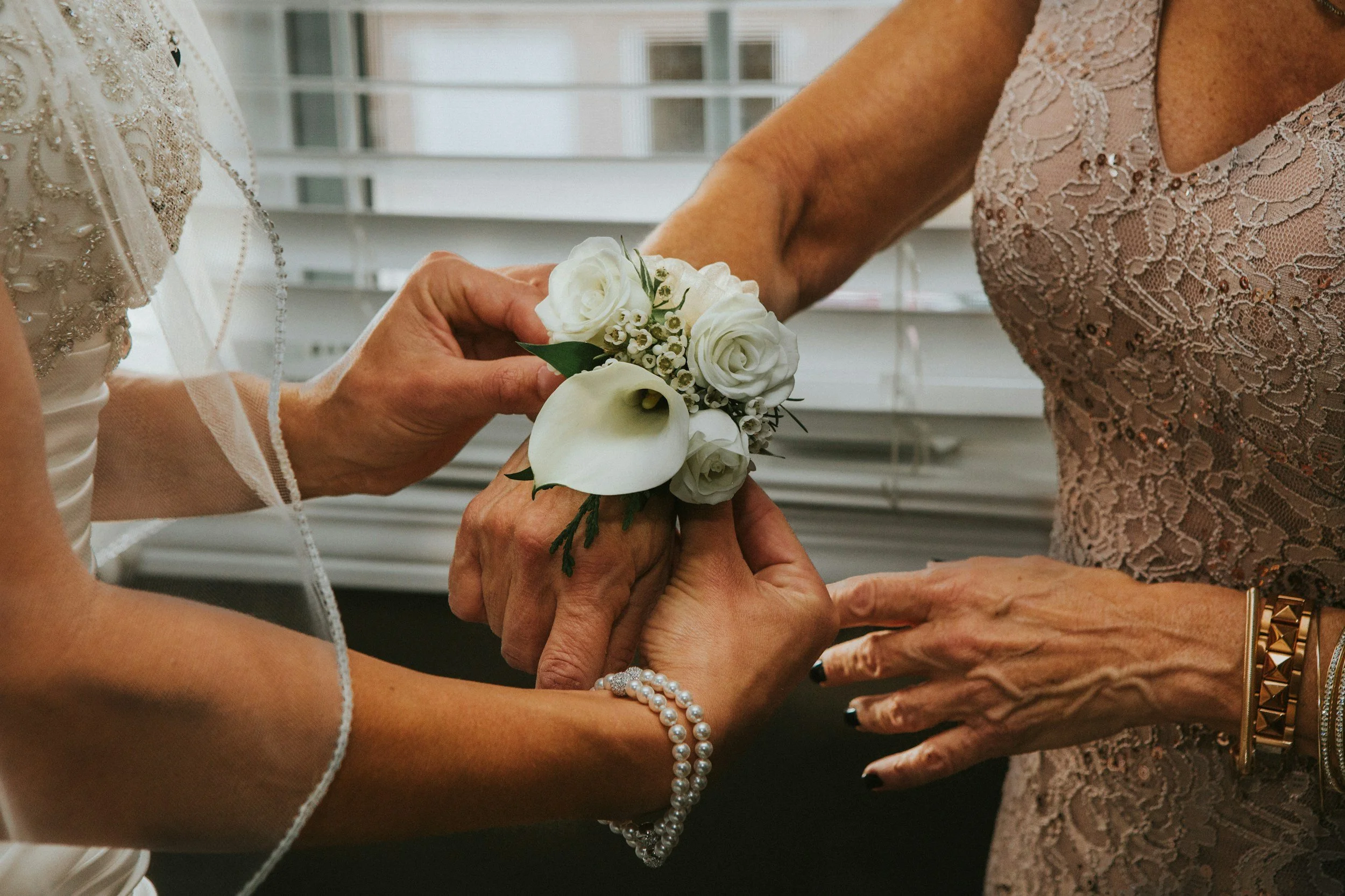 unsplash-image-ObJTi4eABTc.jpg