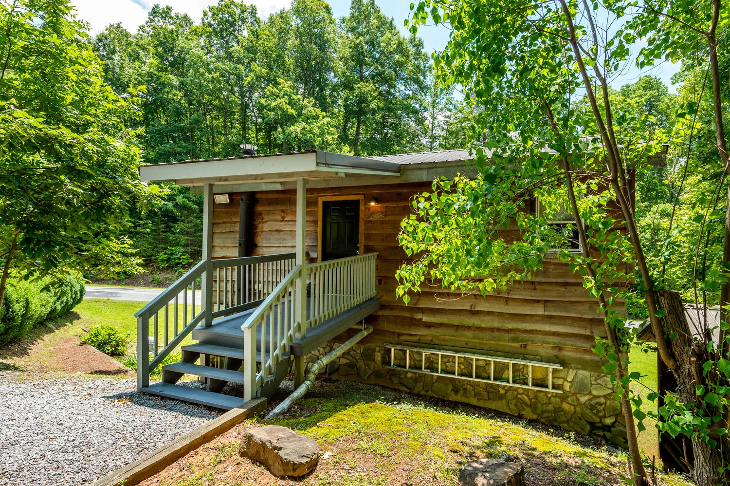5445 Holbert Cove Rd Saluda NC-large-016-21-Back View-1500x999-72dpi.jpg