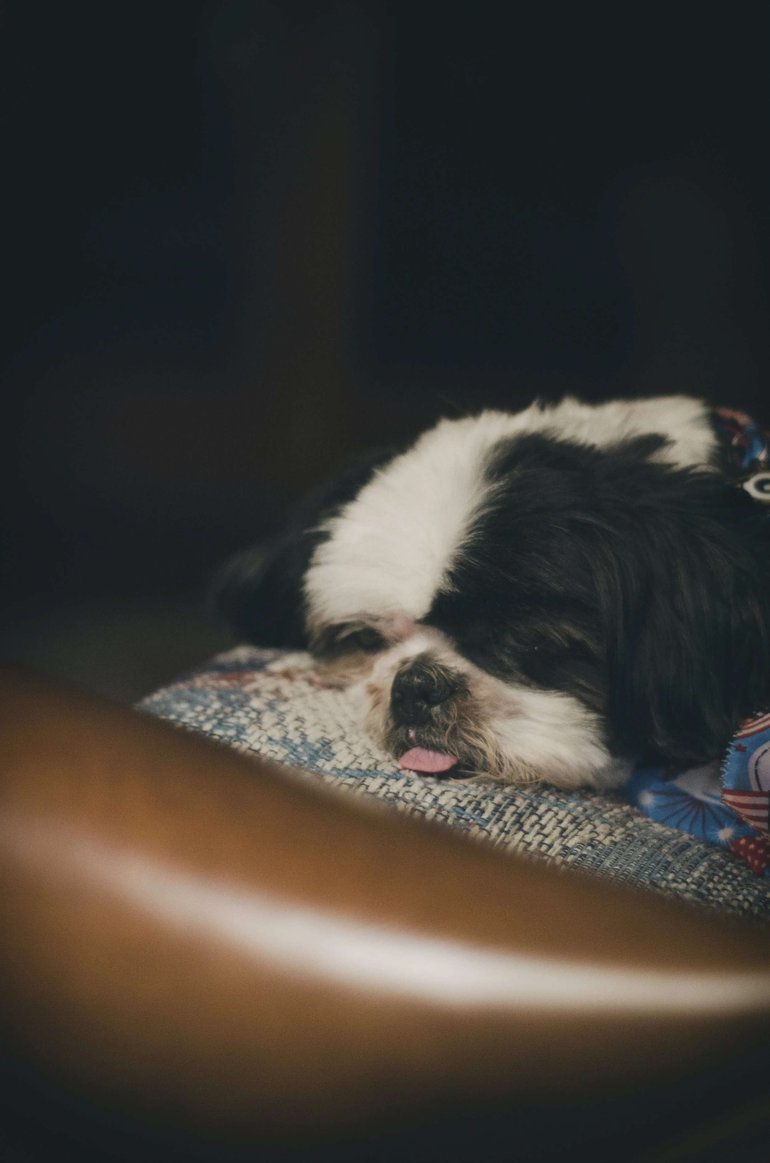 Sleeping Cosmo