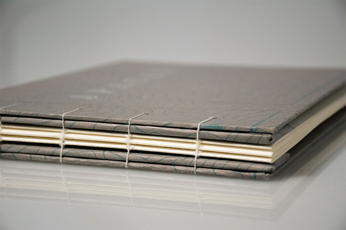 spaces-artists-book.jpg