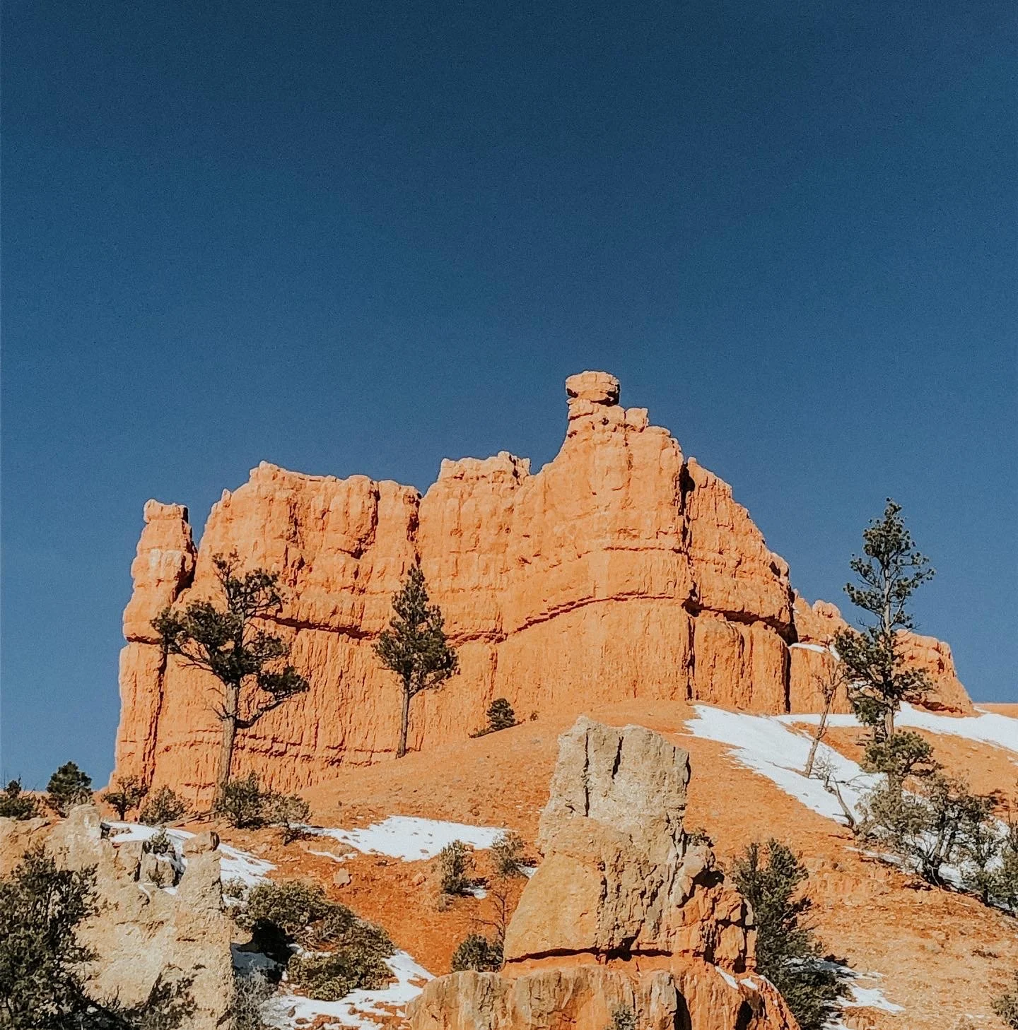 Zion.JPG