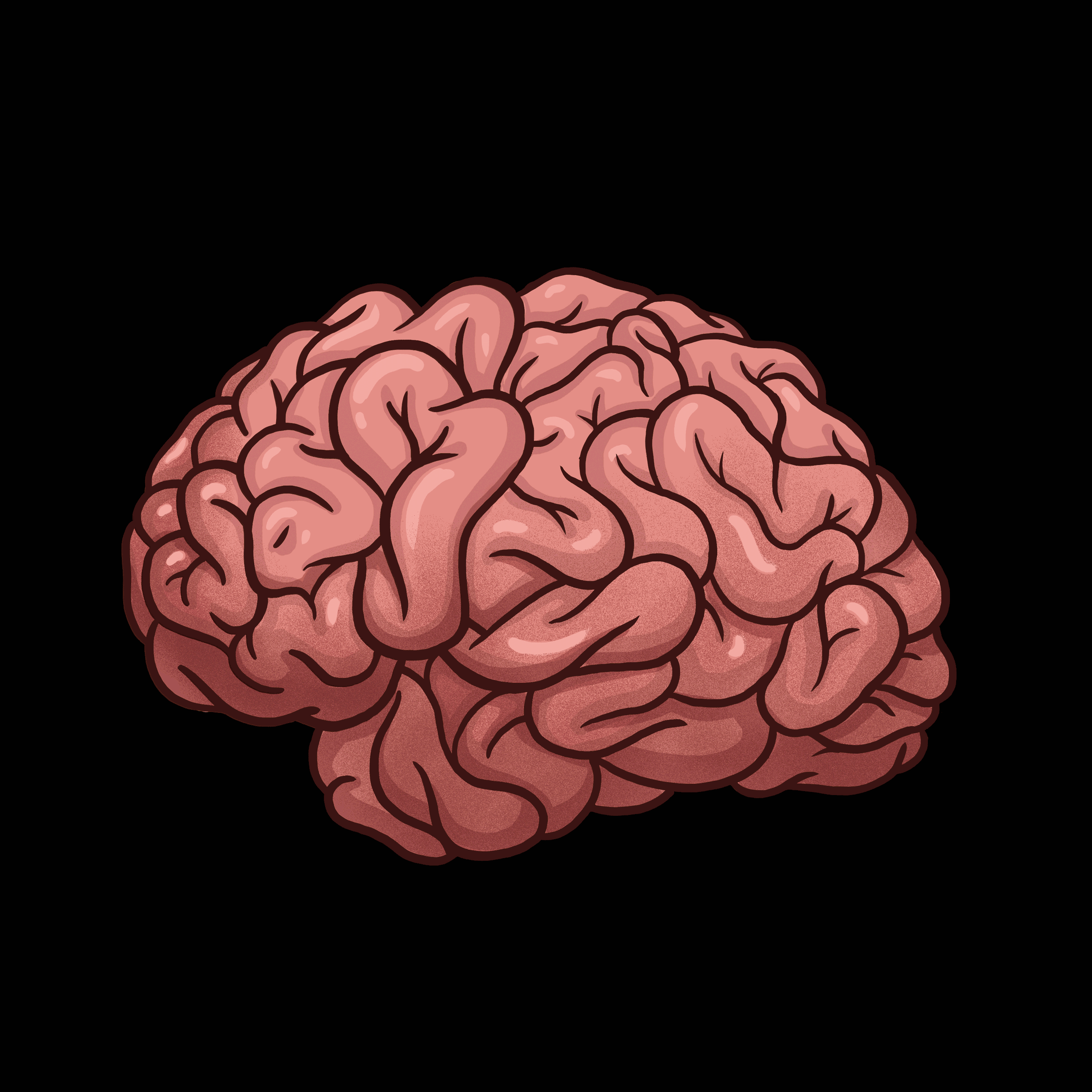 Regions of the Brain