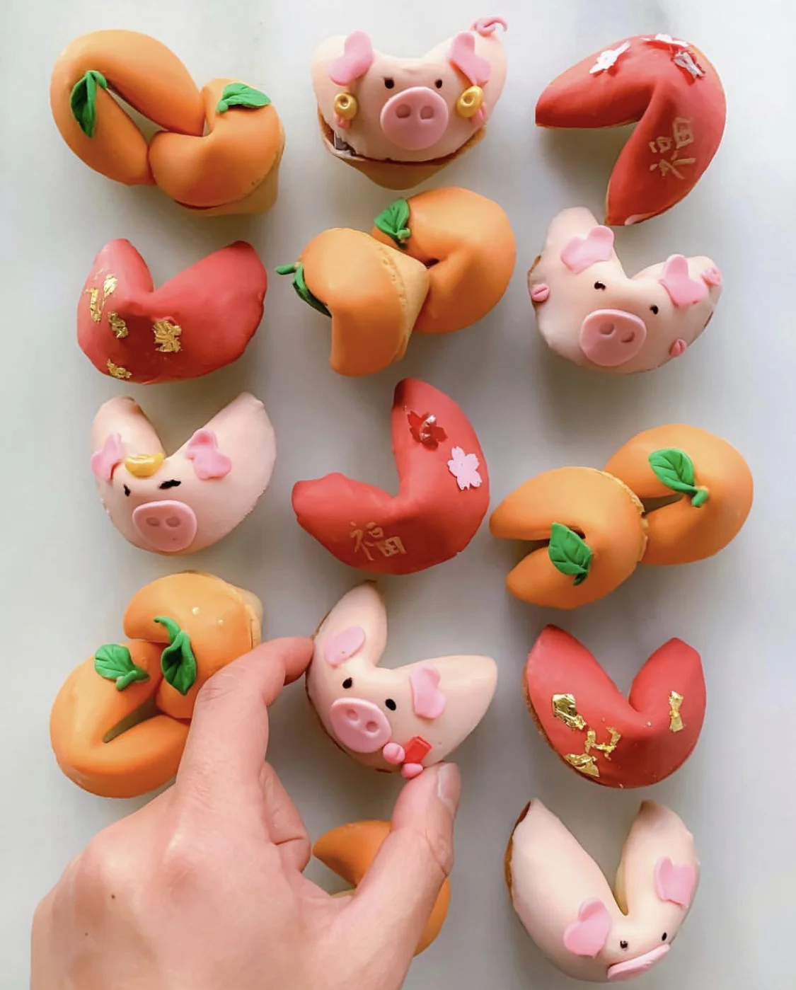Good furtune 🐽
