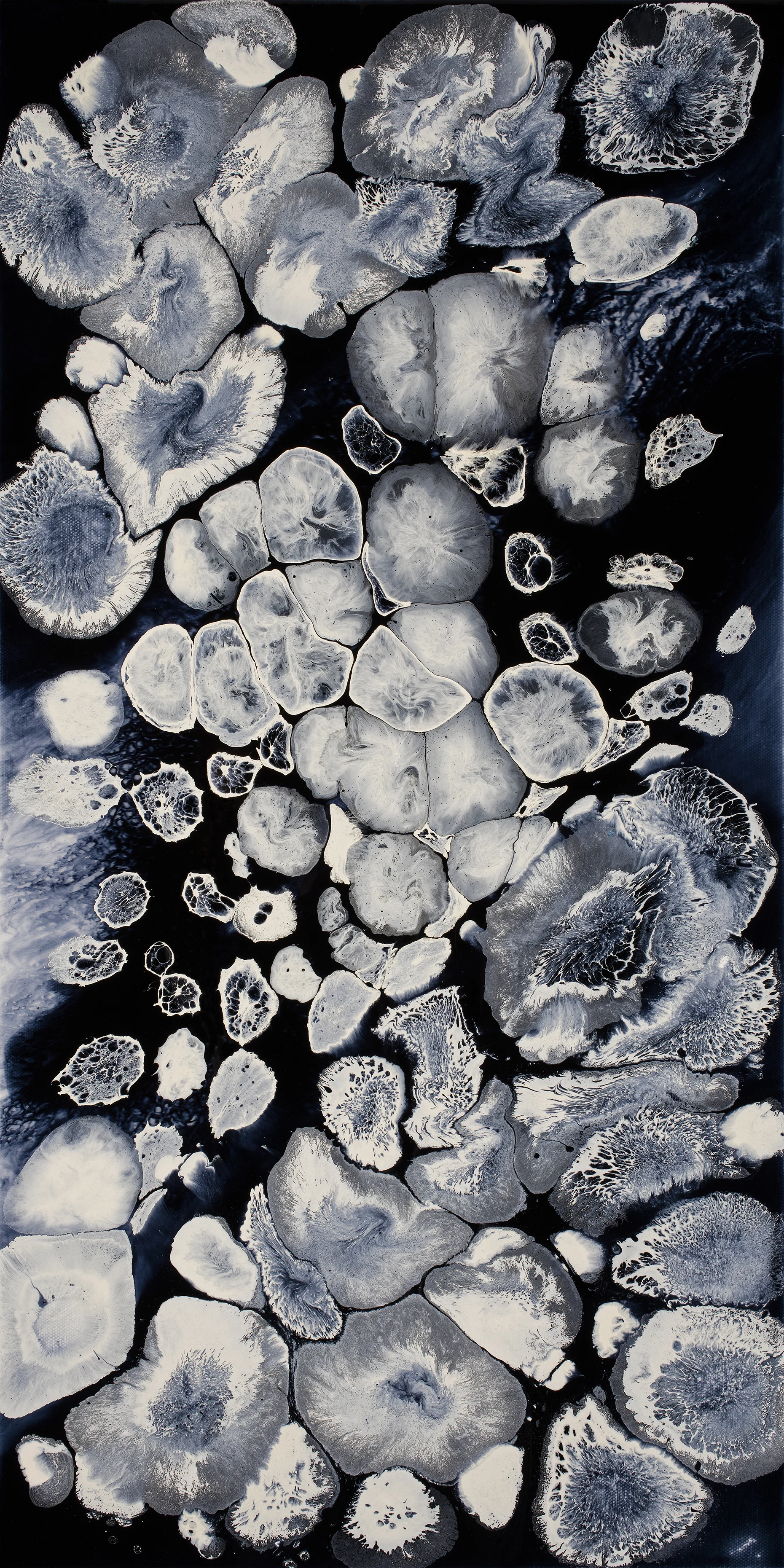 "Tissue Drops" Limited Edition Print