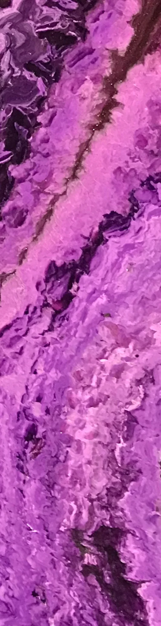 "Galactic Royalty" Bookmark