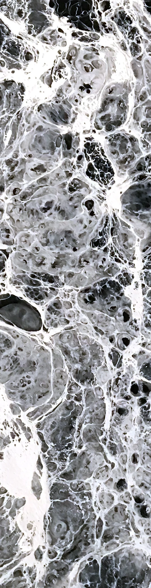 "Macro Journey" Bookmark