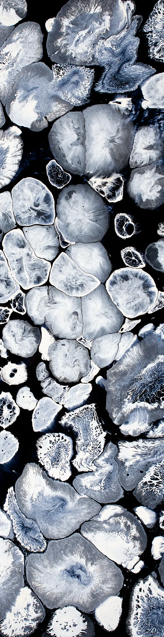 "Tissue Drops" Bookmark