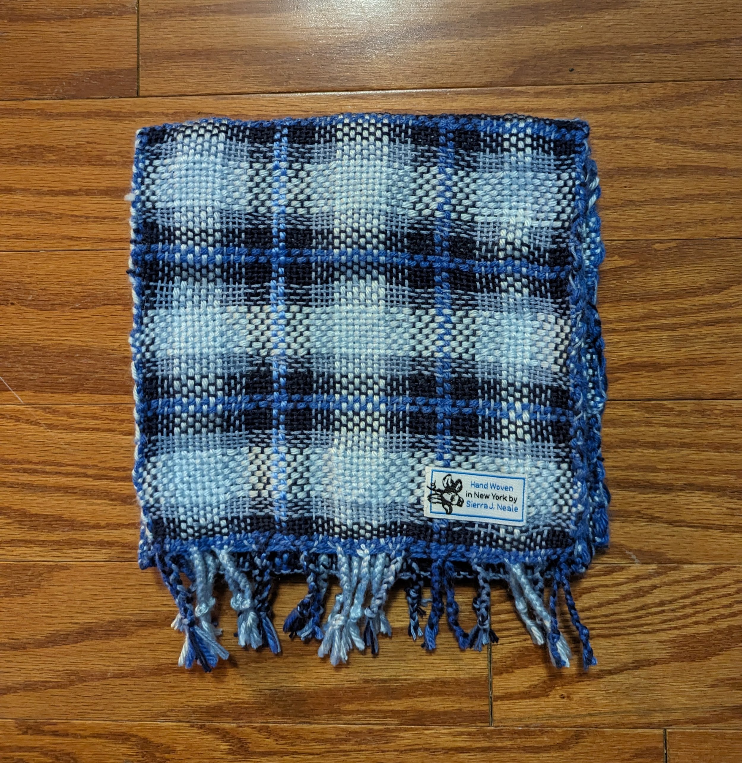 PXL_20240126_030129391.MP.jpg