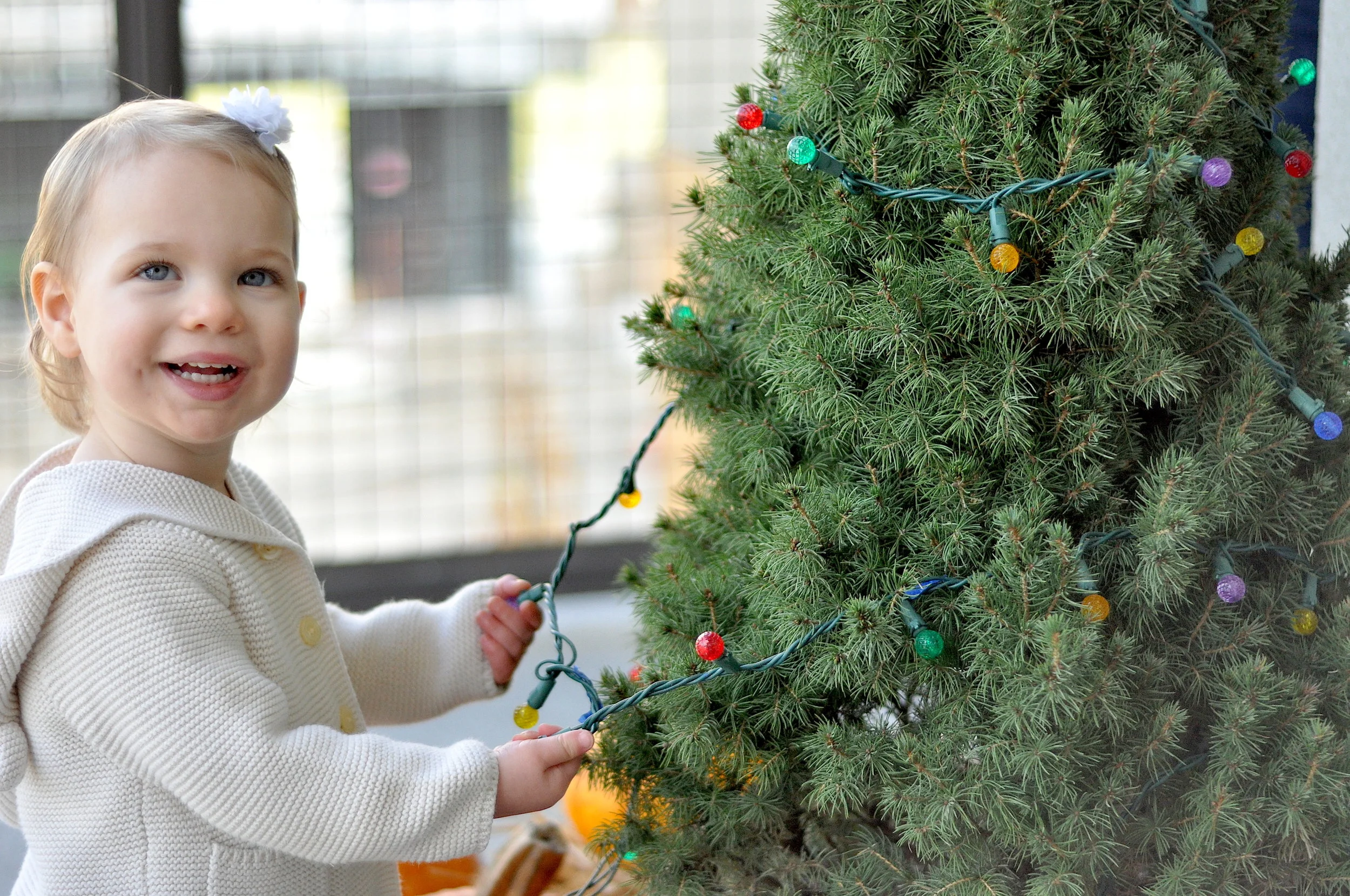 Ellinor Christmas 2017.JPG