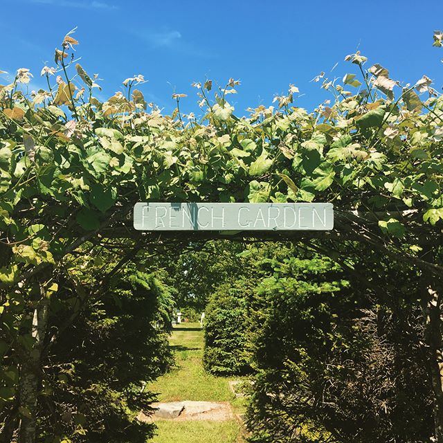 Our French Garden is all completed and ready to be viewed, here are some of the beautiful flowers that we have 🌿🌷🌸🌺🌹🌻🌼💐 #flower #museum #french #garden #novascotia