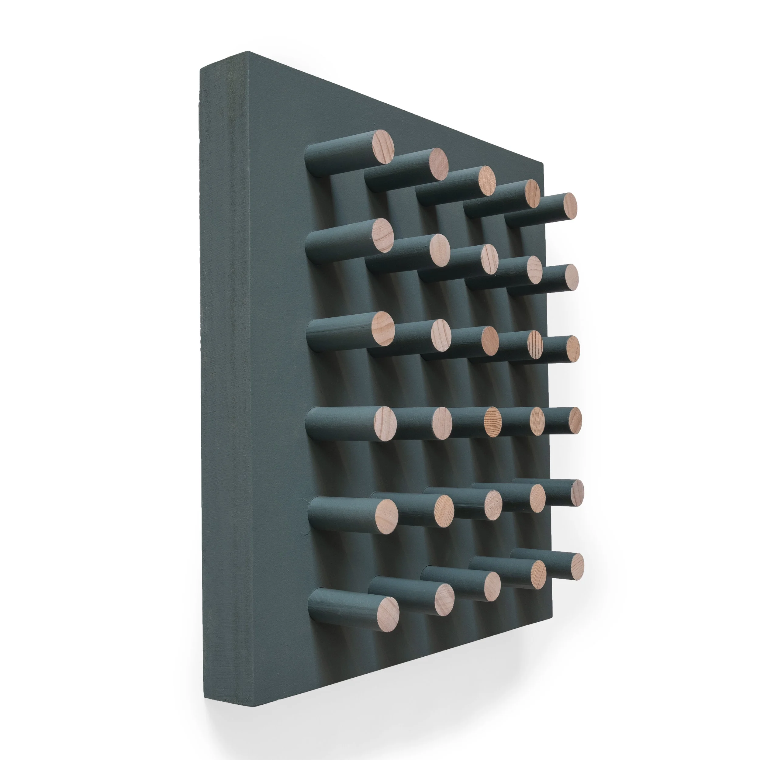 Plants and Pegs14.jpg