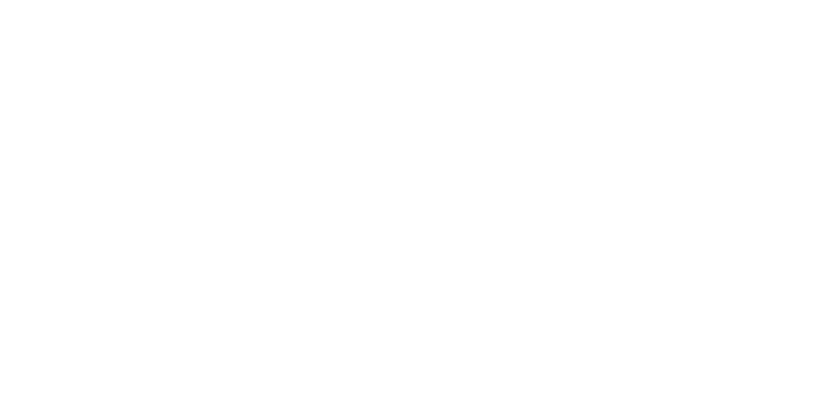 BRADLEY DUNCAN STUDIOS