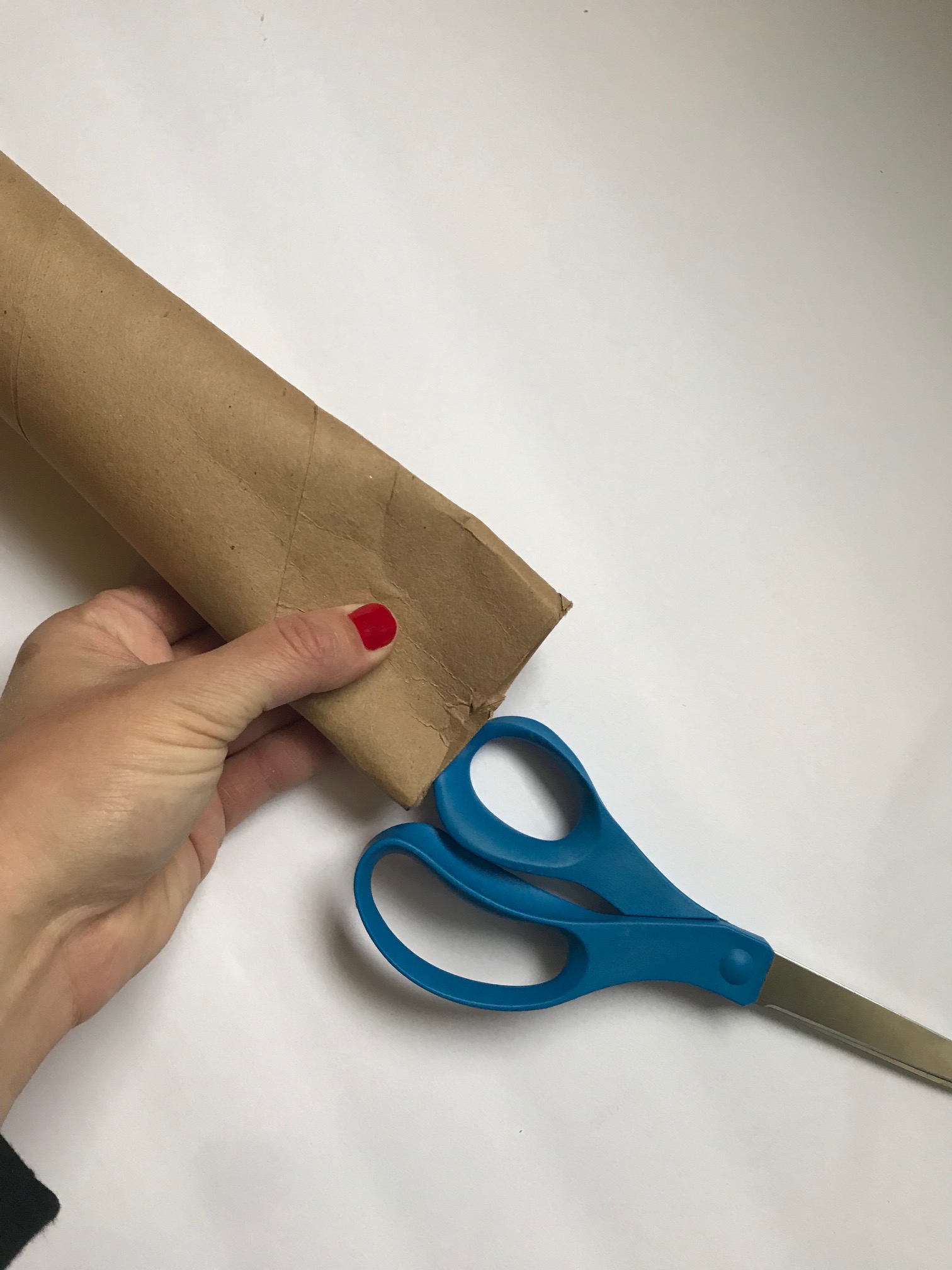 Winter Boredom Buster: DIY Cardboard Tube Swords — Seeking Miss