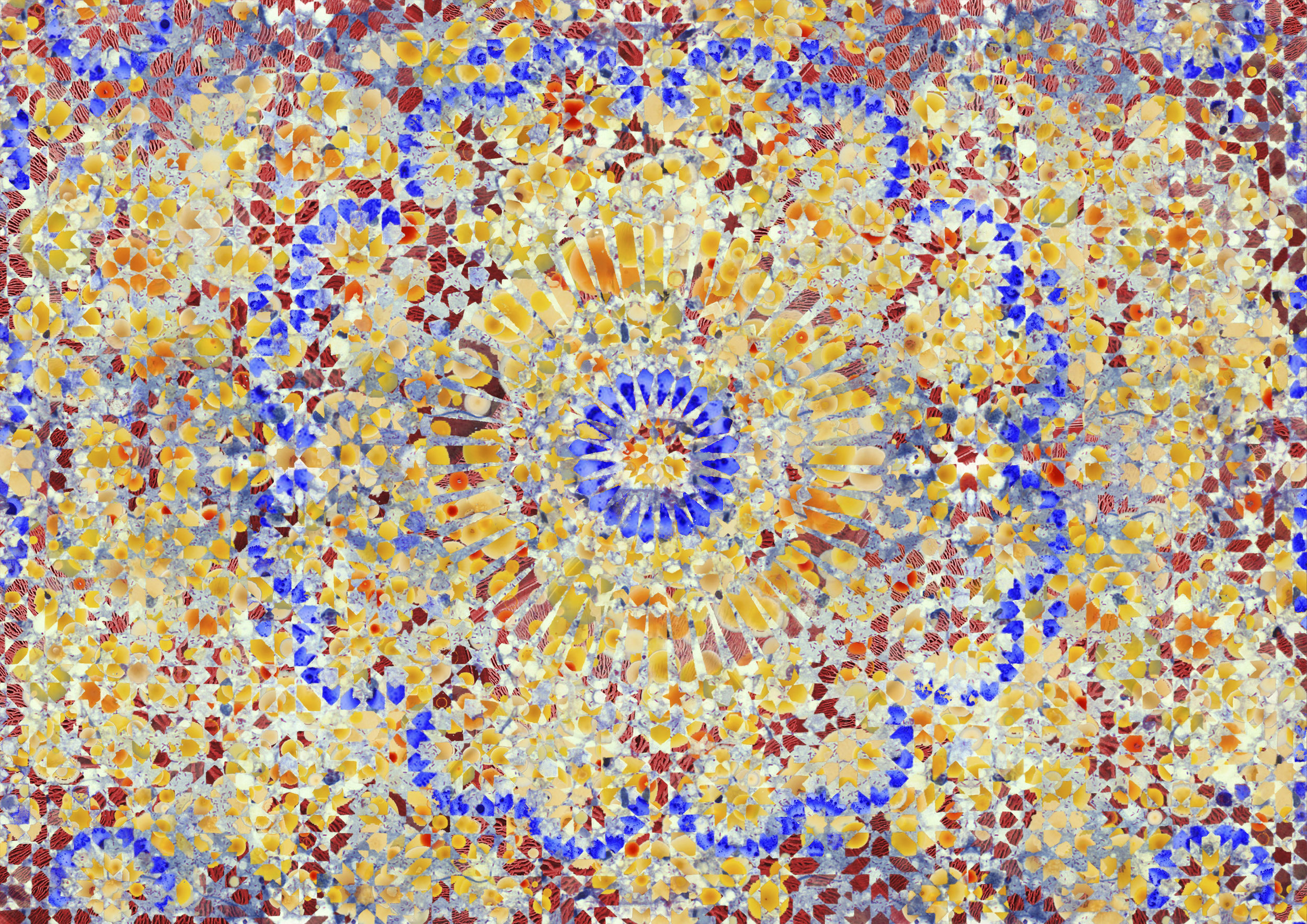 Cultures smaller res.jpg
