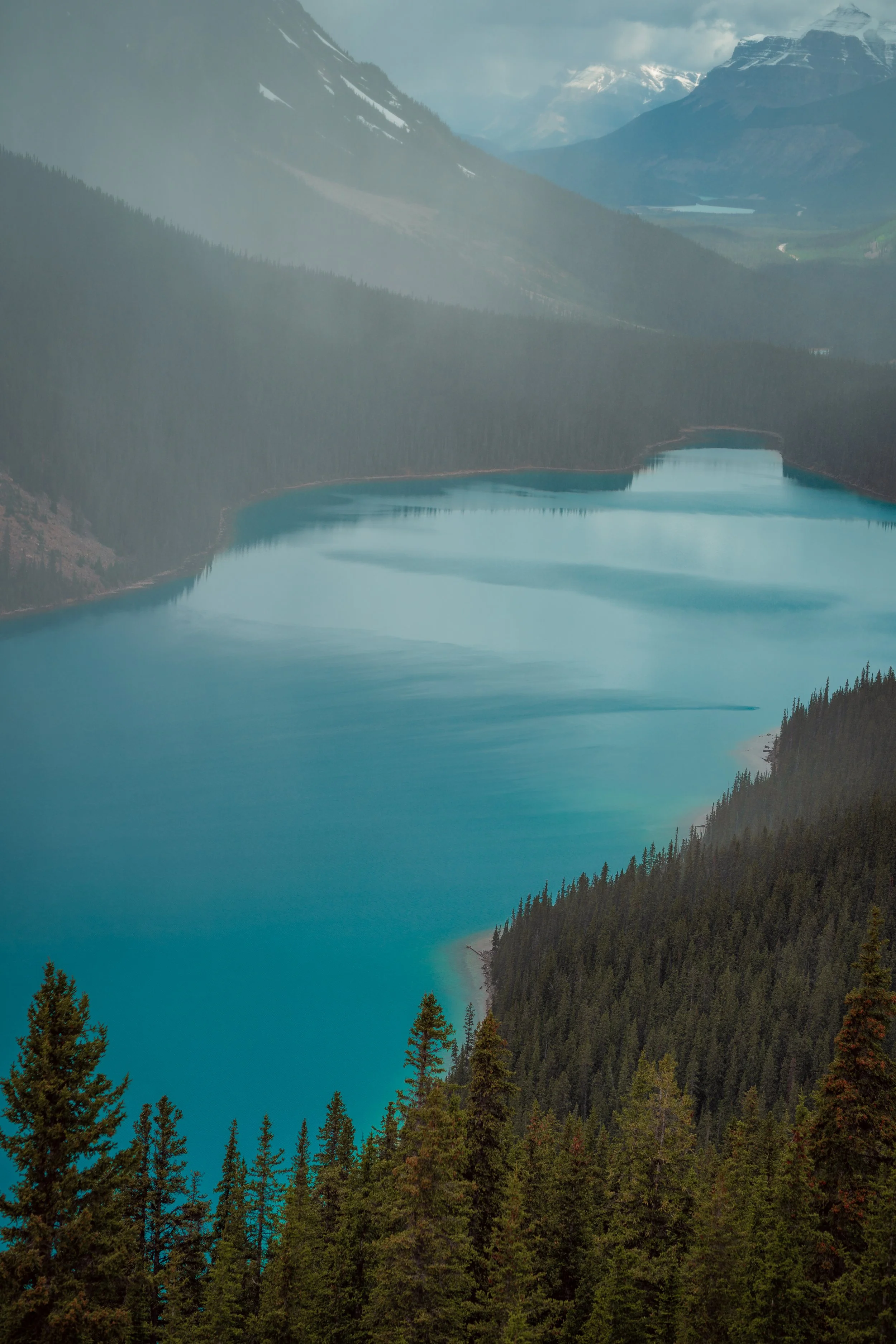 Forecastable Moments